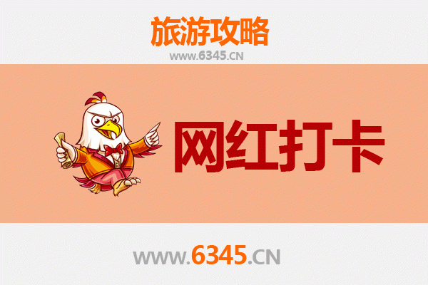 南宁横县网红打卡地全攻略：茉莉花海与古韵新潮的完美融合